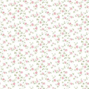 Welcome To My Closet!